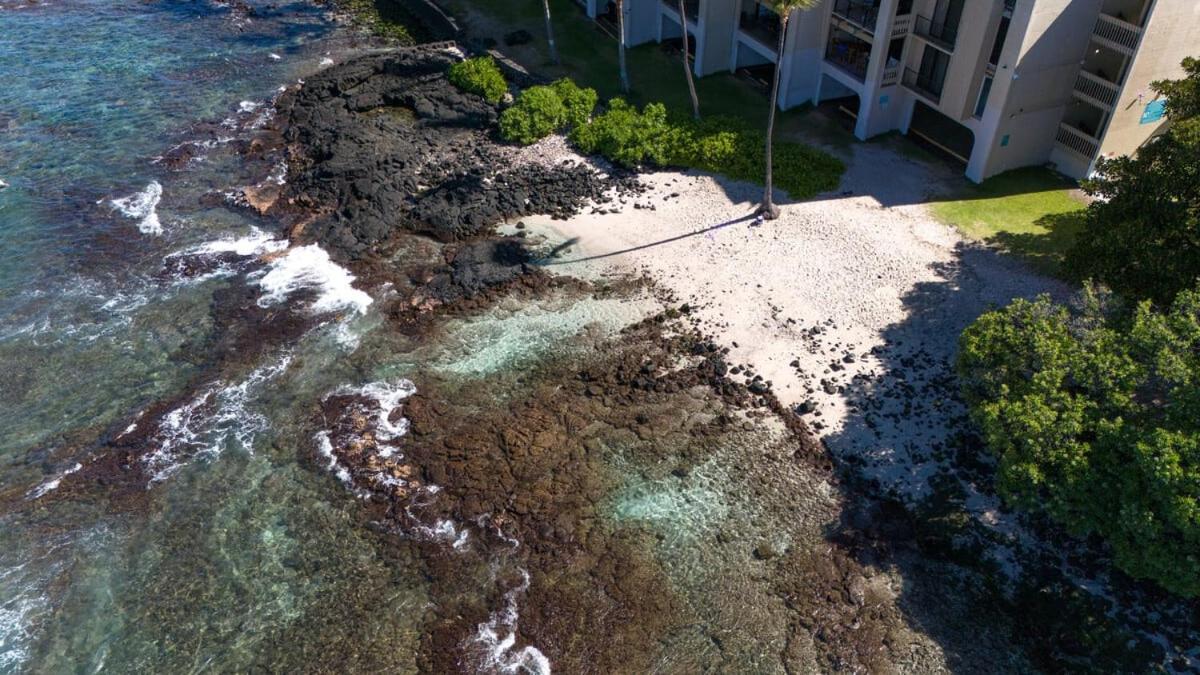 Oceanfront 1 Bedroom 2 Bathroom With Large Lanai - Kona Bali Kai 218 Kailua-Kona Ngoại thất bức ảnh