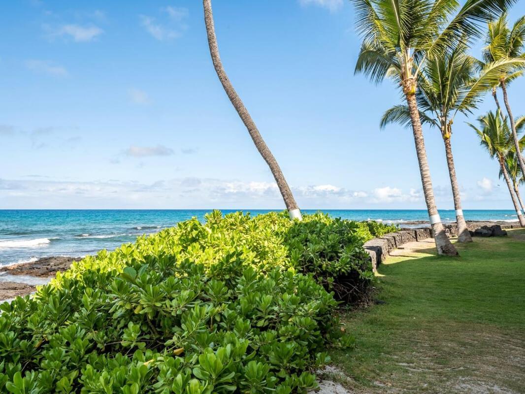 Oceanfront 1 Bedroom 2 Bathroom With Large Lanai - Kona Bali Kai 218 Kailua-Kona Ngoại thất bức ảnh